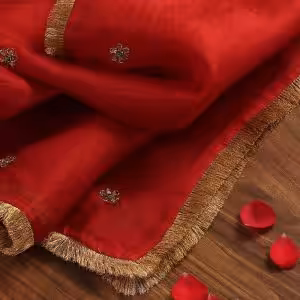 Elegant Red Handloom Organza Dupatta with intricate zardozi hand embroidery by CoutureCraze. Perfect for festive and wedding occasions. A luxurious blend of tradition and beauty.
