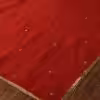 Elegant Red Handloom Organza Dupatta with intricate zardozi hand embroidery by CoutureCraze. Perfect for festive and wedding occasions. A luxurious blend of tradition and beauty.