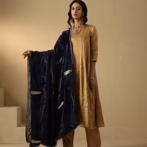 Navy Blue Velvet Doshala with zardozi embroidery and Chanderi tissue border. Luxurious, elegant, and perfect for weddings or festive events. A timeless statement piece.