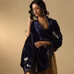 Navy Blue Velvet Doshala with zardozi embroidery and Chanderi tissue border. Luxurious, elegant, and perfect for weddings or festive events. A timeless statement piece.