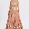 Blush peach net lehenga with gold sequin embroidery and mirror work by Couturecraze, paired with chanderi blouse and organza dupatta