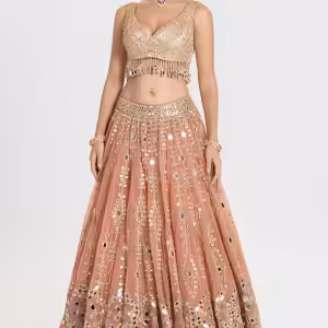 Blush peach net lehenga with gold sequin embroidery and mirror work by Couturecraze, paired with chanderi blouse and organza dupatta