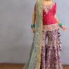 Pink jeni silk kurta sharara set with butterfly net embroidery front view