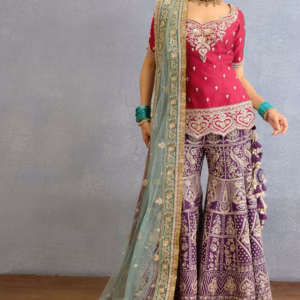 Pink jeni silk kurta sharara set with butterfly net embroidery front view