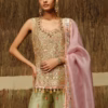 Heavy neckline embroidery with stone work on ivory Anarkali gown
