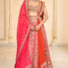 Rani Pink Organza Mirror Hand Embroidered Lehenga Set