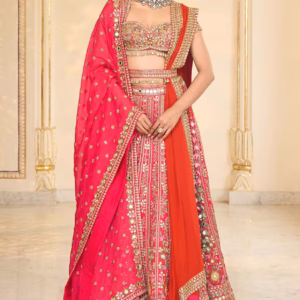 Rani Pink Organza Mirror Hand Embroidered Lehenga Set