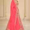 Rani Pink Organza Mirror Hand Embroidered Lehenga Set