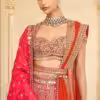 Rani Pink Organza Mirror Hand Embroidered Lehenga Set